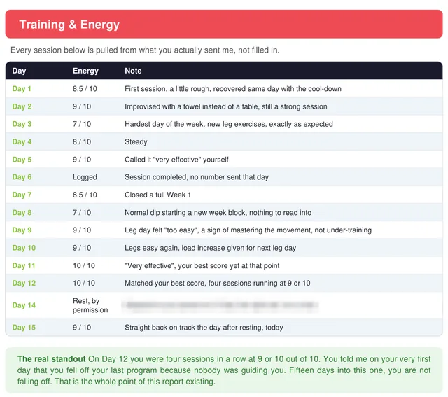 Training and energy page from a Day 15 progress report: a table of fifteen training days with an energy score out of 10 and a one-line note for each, and a highlighted standout: four sessions in a row at 9 or 10 out of 10.