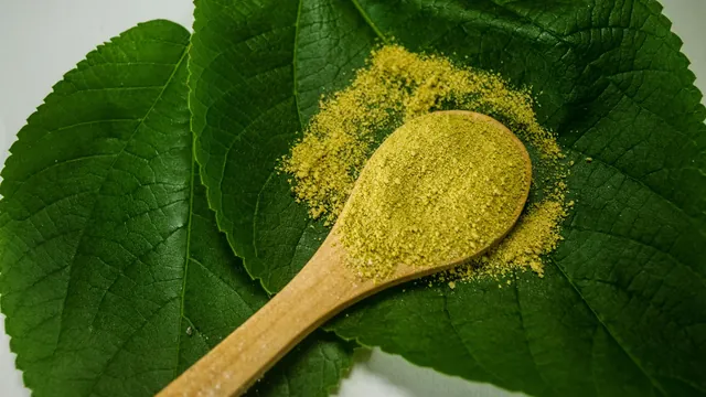 Green herbal powder on a wooden spoon resting on leaves